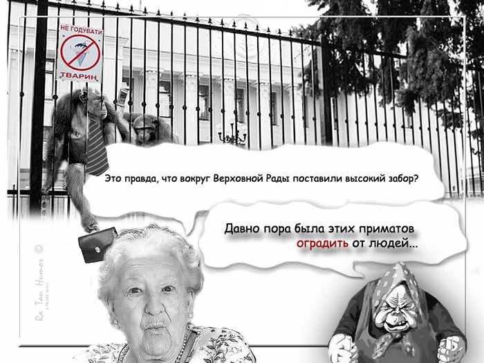 Тимошенко и Луценко могут не попасть на выборы, - Комитет избирателей - Цензор.НЕТ 3232