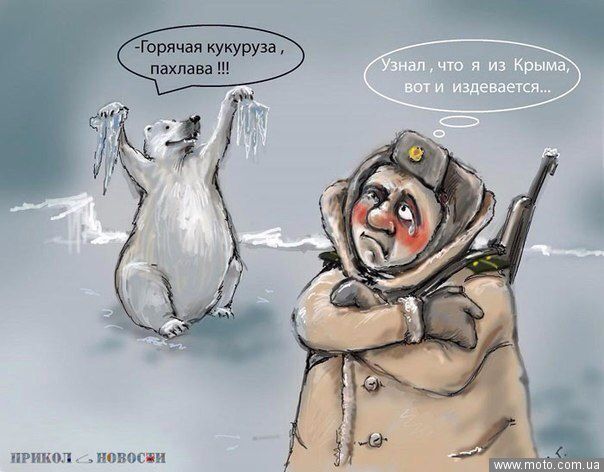 Второй "гумконвой" из России прибыл на границу с Украиной - Цензор.НЕТ 9804
