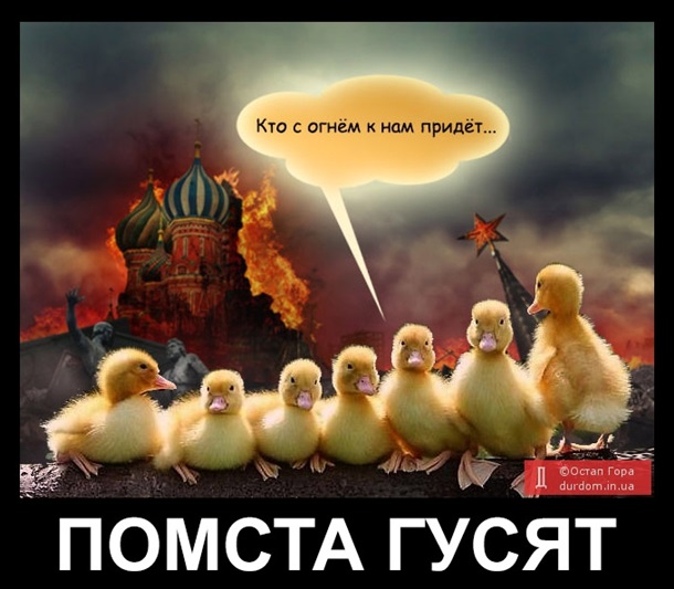 Женщина пыталась провезти на оккупированную Луганщину 2 тыс. утят - Цензор.НЕТ 1622