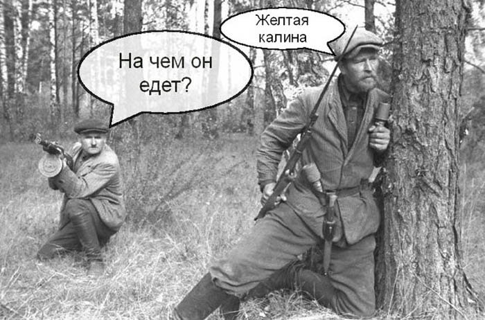 Банда "Торпеда" готовила покушение на Авакова, - Аброськин - Цензор.НЕТ 6518