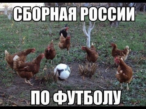 УЕФА условно дисквалифицировал сборную России до конца Евро-2016 - Цензор.НЕТ 3353