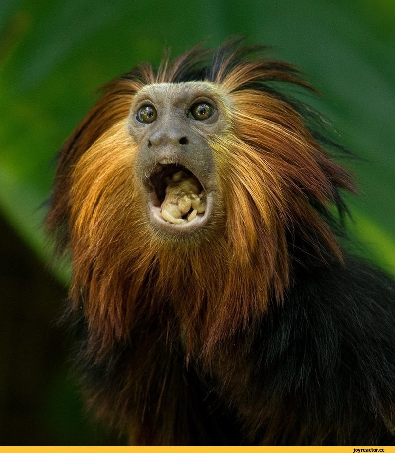 Зарплата лікаря в 2021 року має стартувати від 22-25 тис. грн, щоб наші медики не виїжджали за кордон, - Степанов - Цензор.НЕТ 2188