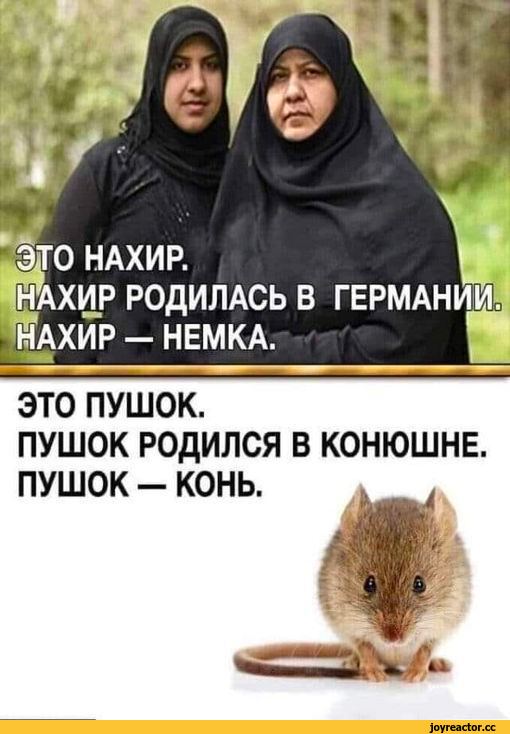 Меркель заявила, що не йтиме в канцлери Німеччини - Цензор.НЕТ 202