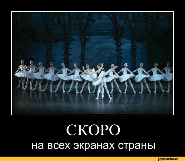 Співробітник адміністрації Путіна заразився коронавірусом - Цензор.НЕТ 7092