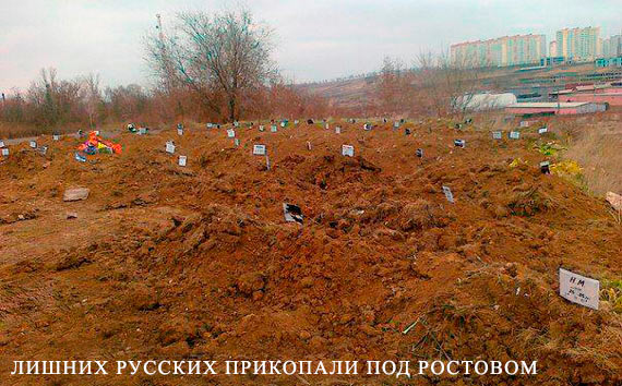 Украина будет образцовой страной в Европейском союзе, - Яценюк - Цензор.НЕТ 7969
