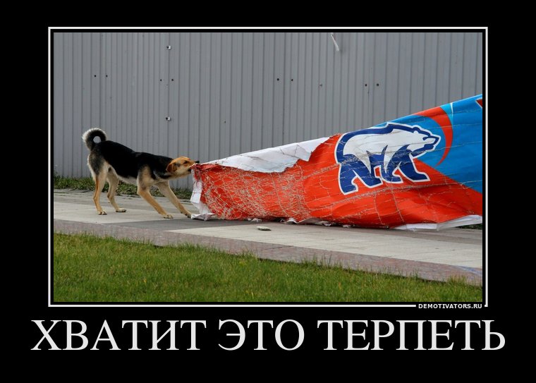 Террористы Донбасса сознательно разрушили шансы на мир, - Чалый - Цензор.НЕТ 8439