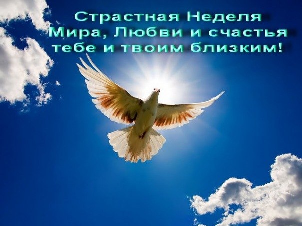 С сегодняшнего дня у православных и грекокатоликов начинается Страстная неделя - Цензор.НЕТ 4189