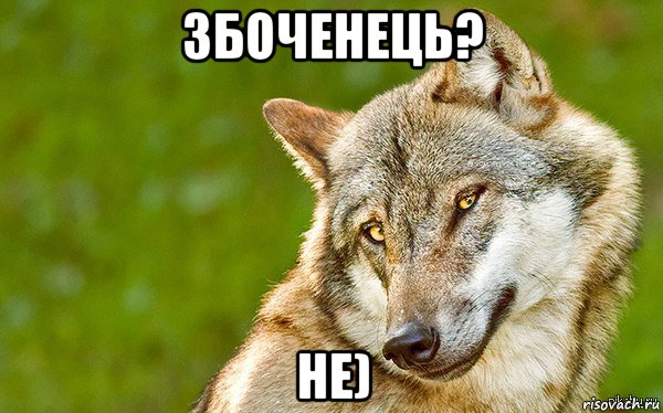 Прострочена газована вода, особливо в спеку, це біологічна зброя, - ЦОЗ - Цензор.НЕТ 4274