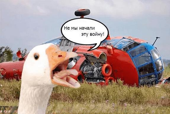 На западе Москвы вертолет упал в водохранилище - Цензор.НЕТ 6635