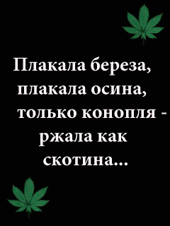 "Киевавтодор" открещивается от "непонятной" дорожной разметки на Оболони - Цензор.НЕТ 2905